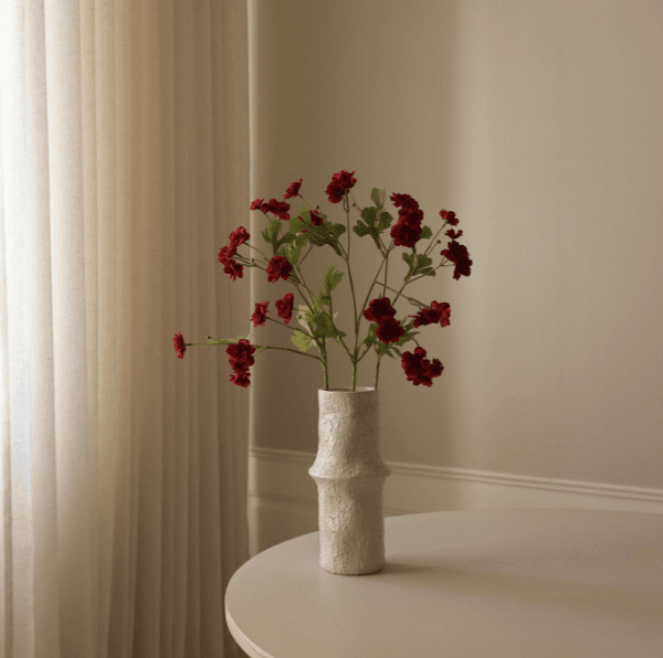 Hovedbilde Dark Red Zinnia Flowers/ Botanè