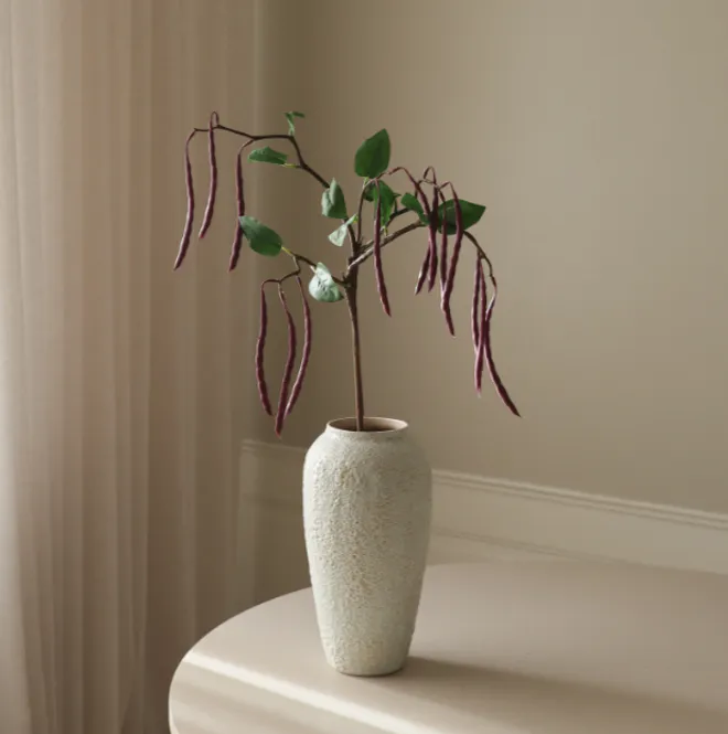 Hovedbilde Purple Bean Branch/ Botanè