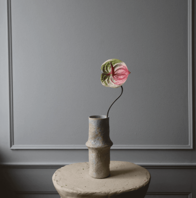 Pink Anthurium Flower/ Botané